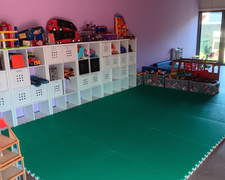 Kinderen 2,5 tot 12 jaar