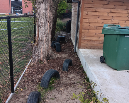 Vakantieopvang 2,5 tot 12 jaar 